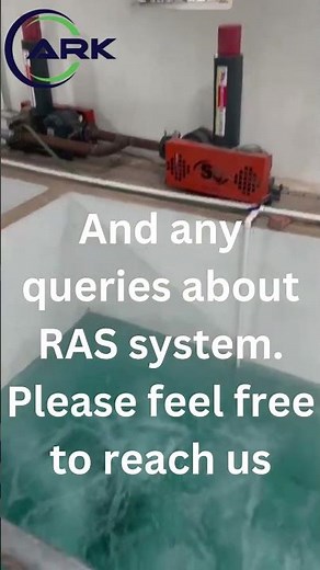 RAS (Recirculating Aquaculture system )