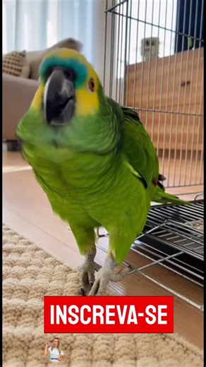 Louro sabe porque os cegos não riem com piada