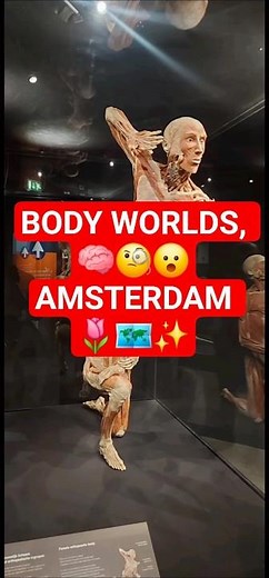 BODY WORLDS MUSEUM AMSTERDAM – DISCOVER THE SECRETS OF THE HUMAN BODY!