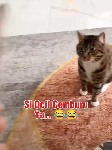 302 reactions · 3 comments |  | Dunia Bulus | Facebook