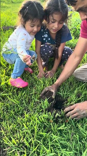 Planting Trees 🌳🌳