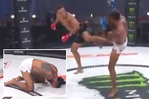 Watch as MMA Bellator star Peter Stanonik is brutally kicked in groin TWICE