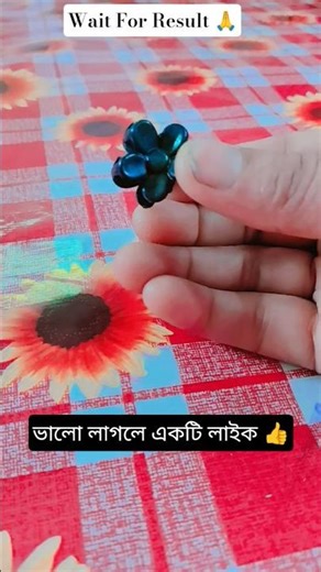 Yapapa || Sarama Rana Diary #shorts #challenge