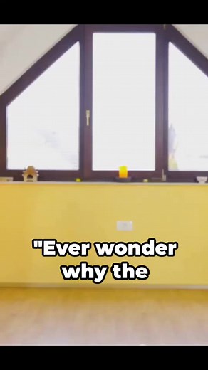 Japan Snippet on TikTok