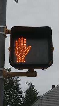 Pedestrian Signal with Walk Sign & Countdown Timer On At The Same Time