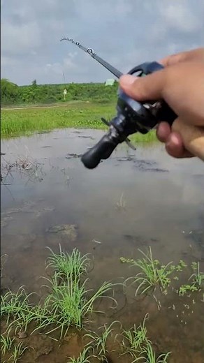 Shimano Slx Dc Xt 71