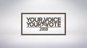 Who's running for 105th District Court Judge?