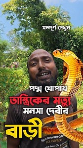 365K views · 14K reactions | রহস্যজনক সেই পদ্মঘোপা, বেহুলা লক্ষিন্দরের স্মৃতি। #মনসা #মনসাদেবী #বেহুলা #fiexplorerbd #লক্ষিন্দর | Rafi Explorer BD | Facebook