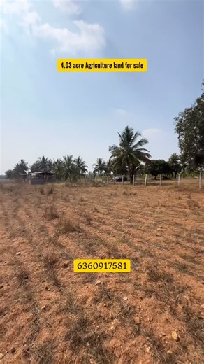 Liki on Instagram: "📐 Total Area: 4 Acres 3 Guntas 🛣️ 1 km from Gowdegere Panchayat with good road access 📄 Land Type: Agricultural Land (Krushi Jaminu) 👤 Category: General Category | Direct General . . Agricultural land for sale Farm land in Tumkur Sira agricultural land Gowdegere land for sale Krushi Jaminu Farm land Karnataka General category land Direct owner land Farmhouse land Investment land Karnataka Tumkur real estate Land near Sira . . #AgriculturalLandForSale #FarmLandTumkur #Sira