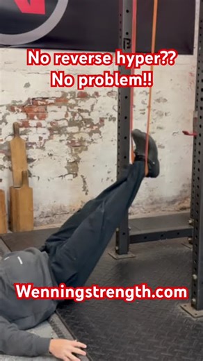 Reverse Hypers: The #1 Exercise for a Strong, Pain-Free Lower Back#gymworkout #lowerbackpain