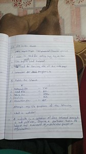 2.1 Fill in the blanks.HTML means Hyper Text protocol Trans... | Filo