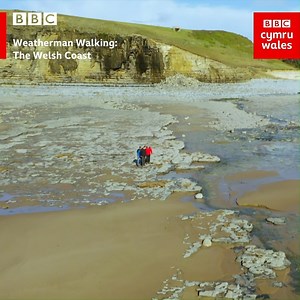 The oldest known bones of a meat-eating Jurassic dinosaur were discovered on the Jurassic coast of Wales. 🦖 While you can't go and explore right now, you can enjoy Weatherman Walking: The Welsh Coast on BBC iPlayer / Fridays 7.30pm BBC One Wales. | BBC Cymru Wales