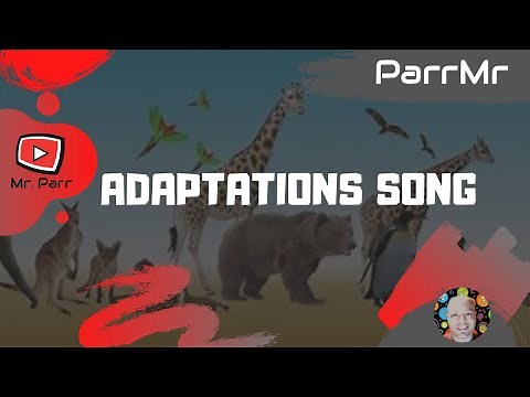 Adaptations Song