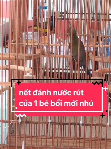 những bước chạy đầu tiên của 1 chú bổi ko tên. e vẫn còn non và xanh lắm tutu a sẽ cho mày cọ xácc nhìu hơn #hutmat5maubungvang #xuhuong #hútmat5màu
