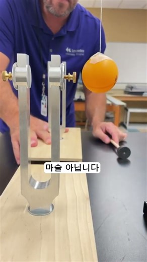 소리가 물을 흔드는 순간, 공명의 정체