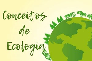 Conceitos de Ecologia: lista de conceitos básicos - Brasil Escola