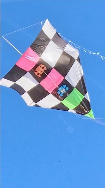 Kite So Huge It Couldn't Handle the Scramble