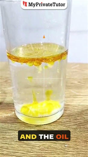 Density Loop Experiment | Oil, Water & Salt Magic Explained!