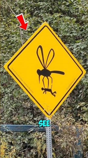 If You Ever See This Sign While Driving, Turn back or you regret it.