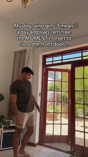 Understanding Your Dog's Behavior and Needs