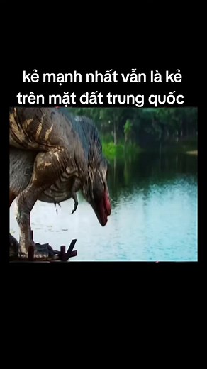 Săn mồi trăn Khổng lồ & cuộc chiến Godzilla trên cạn