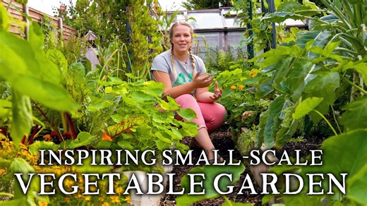 Backyard Self-Sufficiency on a Budget