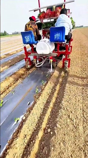 Hardworking Farmers Planting Vegetable Crops for Everyone