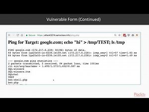 Binary Exploits with Python : Ping Form (with Challenge) | packtpub.com