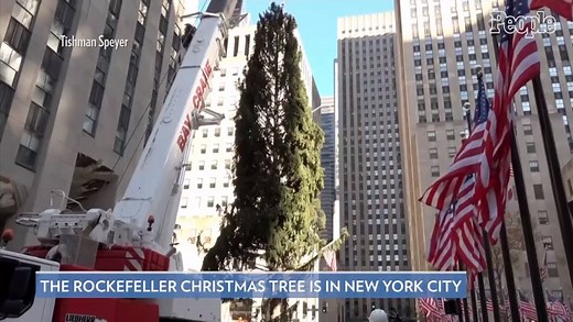 The 2020 Rockefeller Center Christmas Tree Is in NYC! See the 75-Foot Spruce