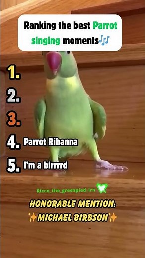 Ranking the Best Parrot Singing Moments🦜🎶