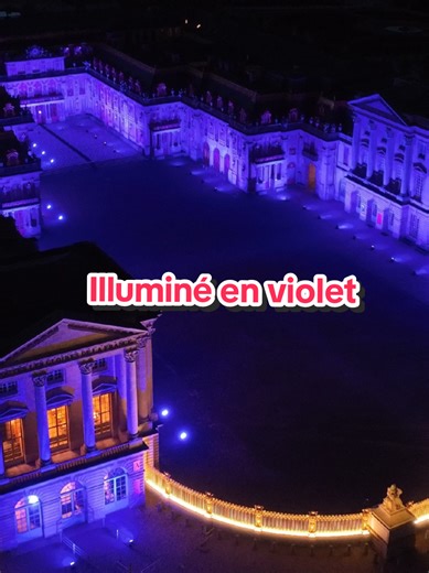 Versailles Illuminated in Purple for Women's Day