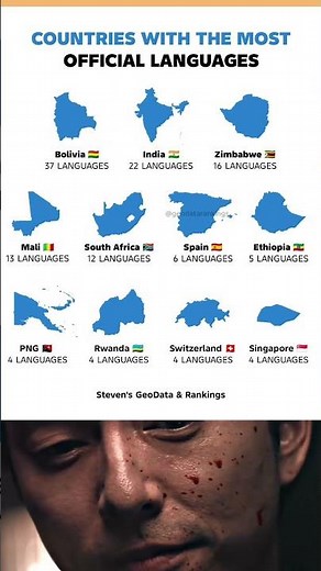 Countries with the Most Official Languages