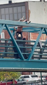 After more than a hour of negotiations Monroe City Police were able to get close enough to grab the male and pull him down off the top of the bridge. The male is now safe and is being transported by MCA. | Monroe County Reporters
