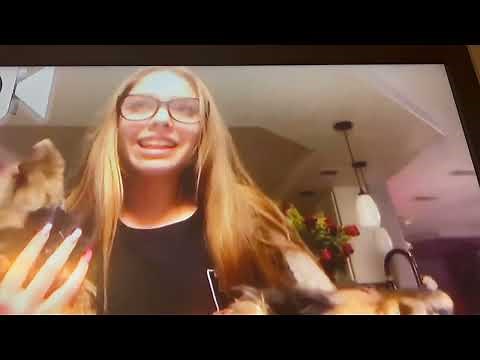 Hawk Attacks. How to protect your pets.