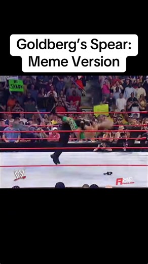 Part 10 to the series! Goldberg was a a literal tank in his prime bro😭 Shoutout to @AlphaWolf#21 for the request. #fyp #wwe #memes #funny