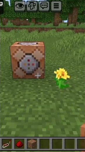SCREEN SHOW ALL WORDS COMMAND BLOCK COMMAND SCREEN SHOW #MINECRAFT #CHILLI DON