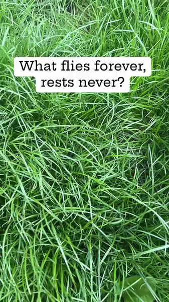 Riddle Me This: Unlock the Answer to These Challenging Puzzles