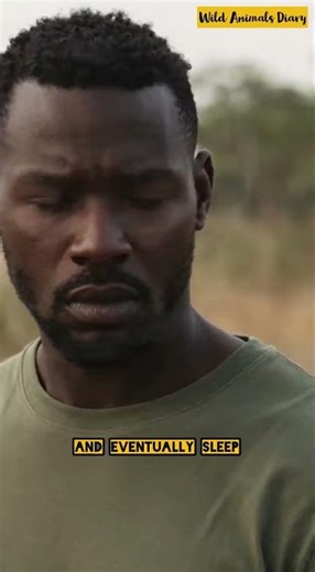 Botfly — Living Under Skin #wildanimalsdiary #facts #shorts