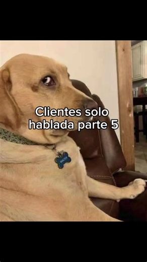 Clientes solo hablada parte 5: Atención al Cliente en Floristería