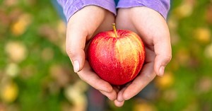 The circular economy in action