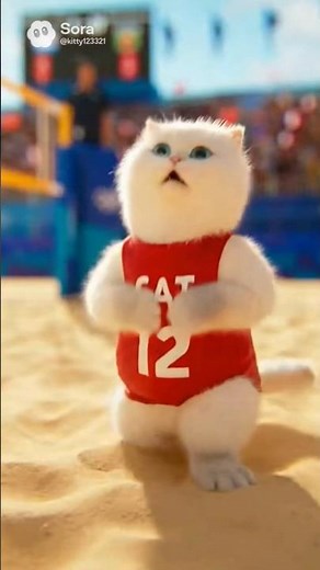 Cat Olympic Beach Volleyball Final.