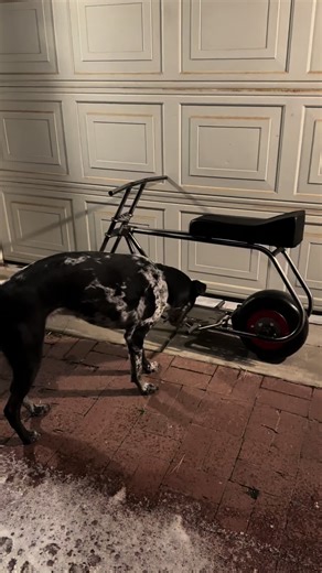 Building a Custom Race Bike from Scratch