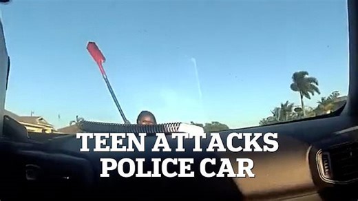 15- year-old charged for attacking police car with a shovel