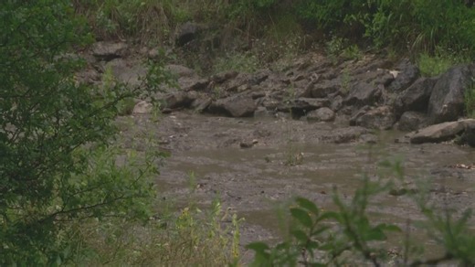 San Antonio City Council blocks Guajolote Ranch subdivision amid aquifer concerns