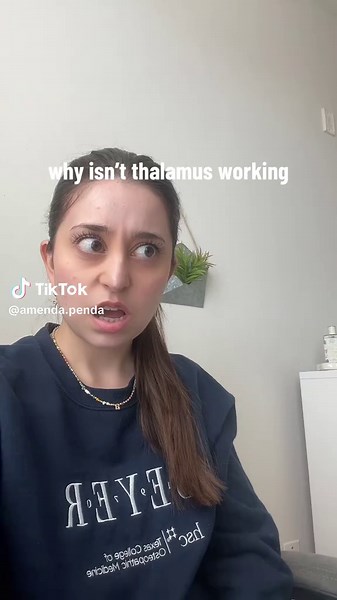 Understanding Thalamus Dysfunction in Medical Training