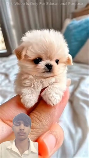 Is ladki ne sabko data diya 😱 #youtubeshorts #shorts