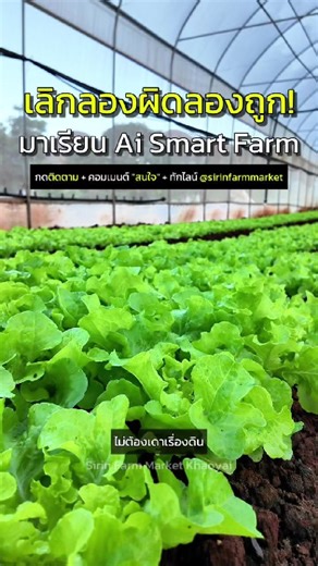 เปิดสอนเเล้ววันนี้! โครงการ Ai Smart Farm เกษตรในโรงเรือน ฟรี! 📌 สนใจทักมาเลยค่า #growlongevityecovillage #เกษตรอินทรีย์ #smartfarming #เกษตรกร #สิรินฟาร์มมาร์เก็ตเขาใหญ่