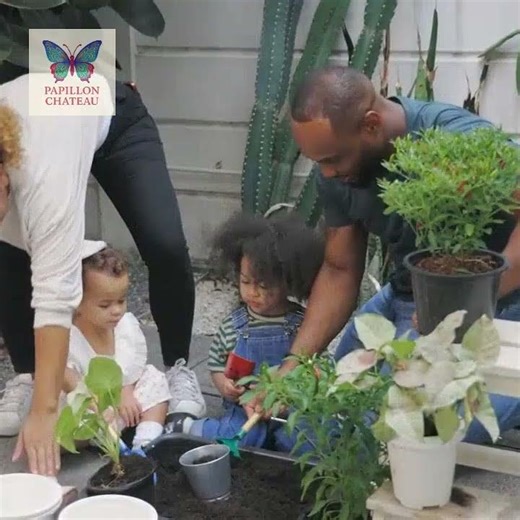 Create Your Butterfly Garden