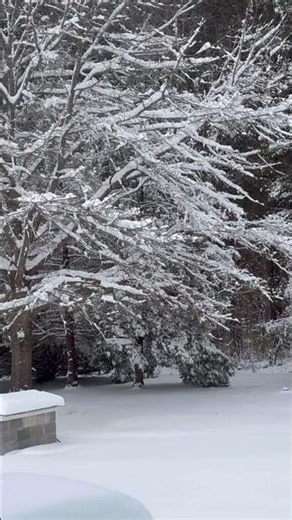 Este mensaje es para ti #dios #amor #fe #frases #reflexion #motivacion