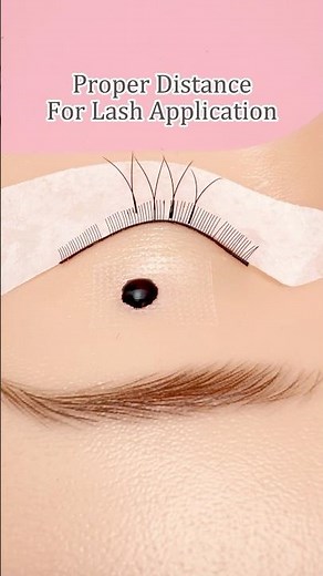 What Is The Proper Distance For Lash Extension Placement? #lashplacement #lasheducation